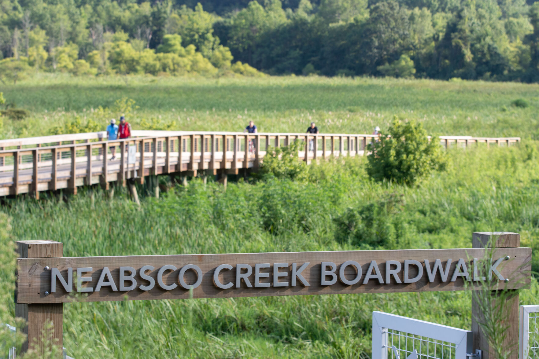 P_Neabsco_Boardwalk-3.jpg